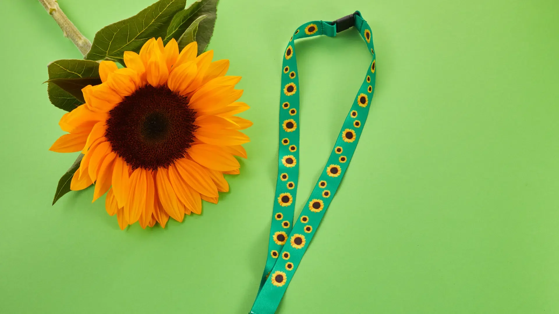 What is the hidden disabilities sunflower?