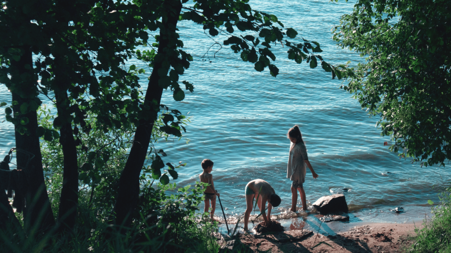 Early Intervention Films and Download